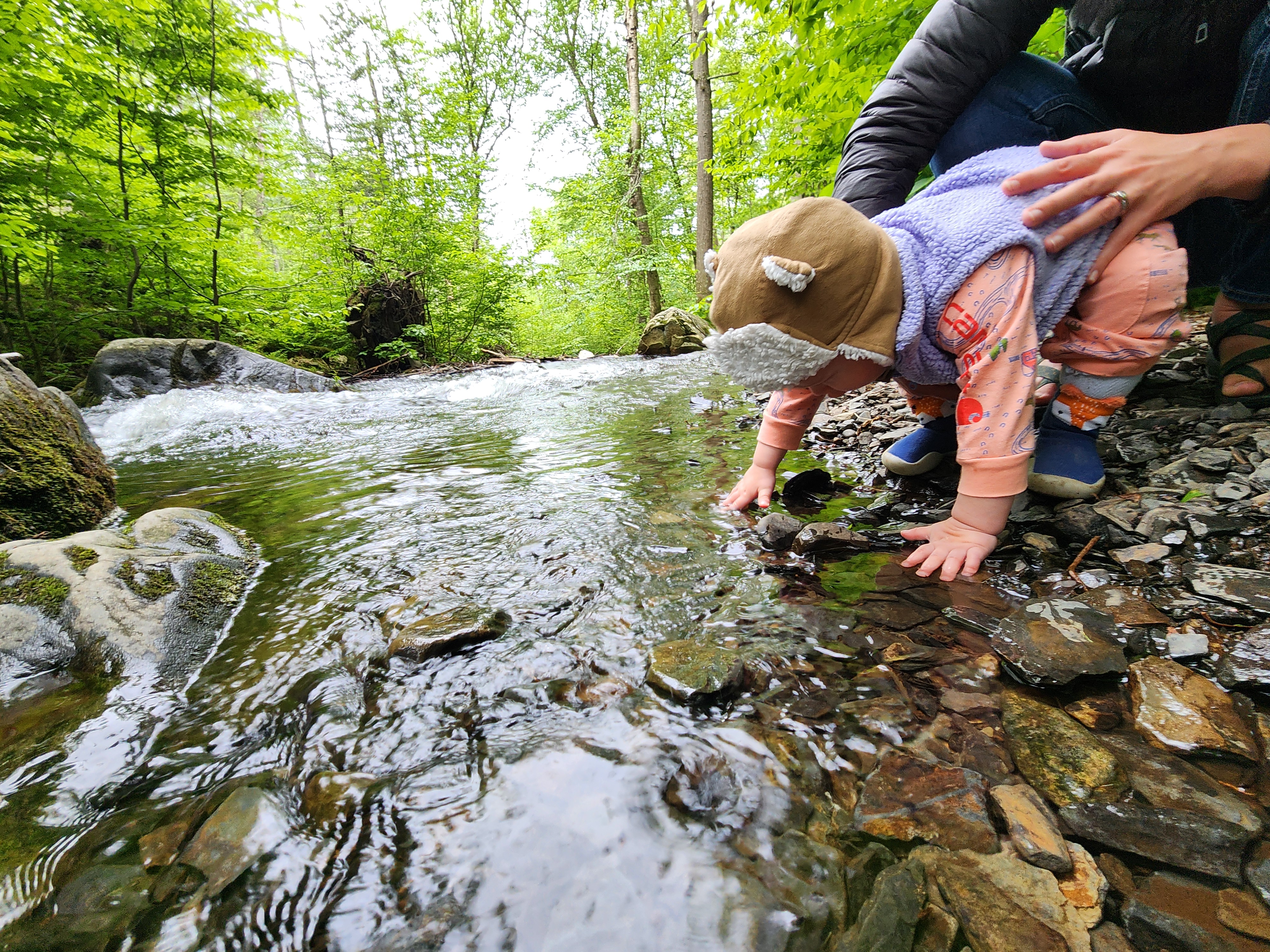 baby touching water in a creek with parent